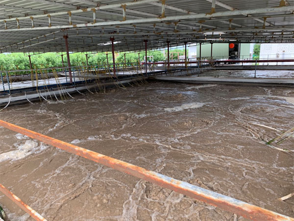 wastewater of fish meal plant