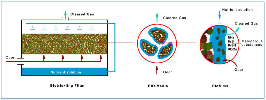 working pricinple of biotrickling filter 