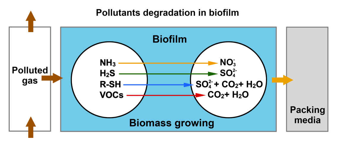 Biofilter brouchure